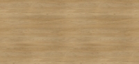 3259 Дуб французский