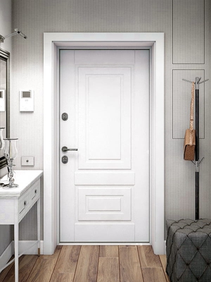 Какую лучше поставить входную дверь в квартиру?