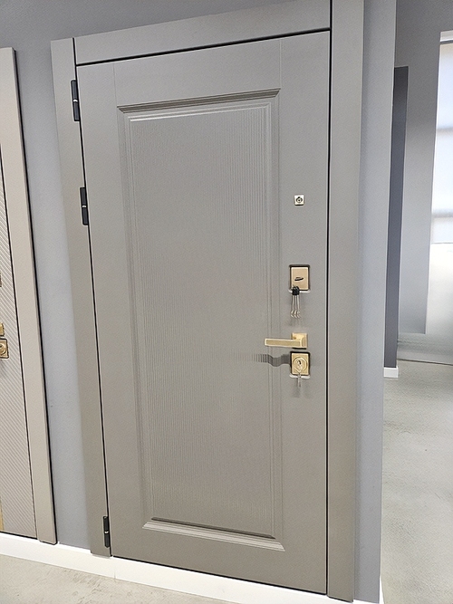 Дверь МДФ с покраской эмалью