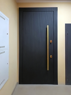 Дверь с длинной ручкой