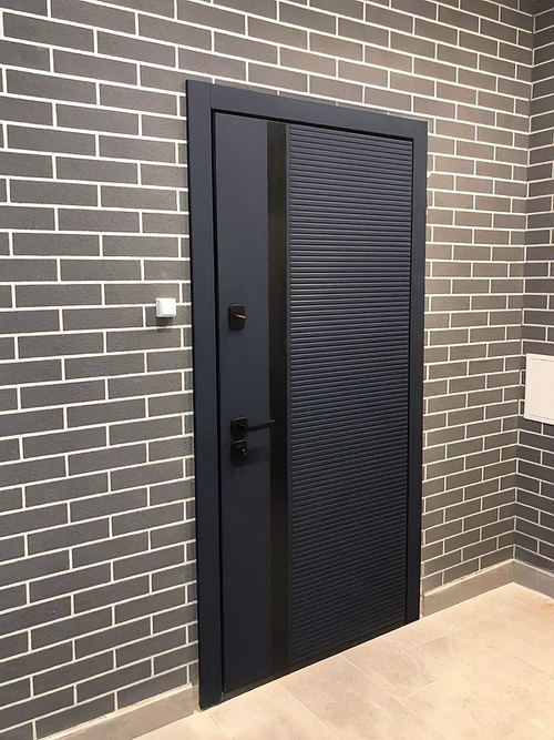 Квартирная дверь с черной полосой