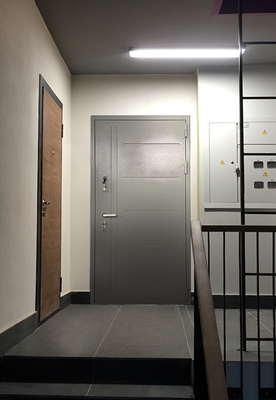 Металлическая дверь с выдавленным рисунком