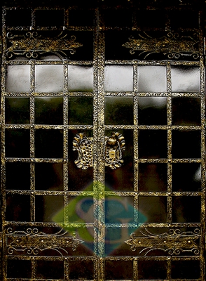 Дверь порошковое напыление с эксклюзивной ковкой Дверь порошковое напыление с эксклюзивной ковкой