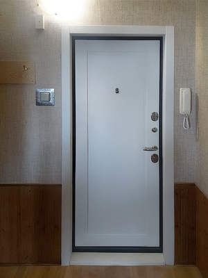 Входная квартирная дверь